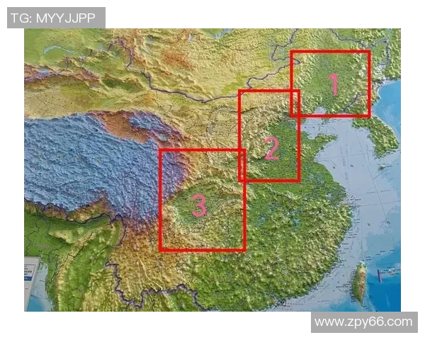 杭州攀岩队防守策略深度分析与战术解读