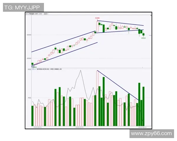 杭州羽毛球队防守策略解析与技术亮点深度剖析