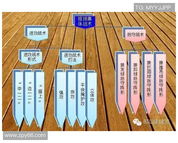 深圳排球队中路突破战术解析与实战应用研究